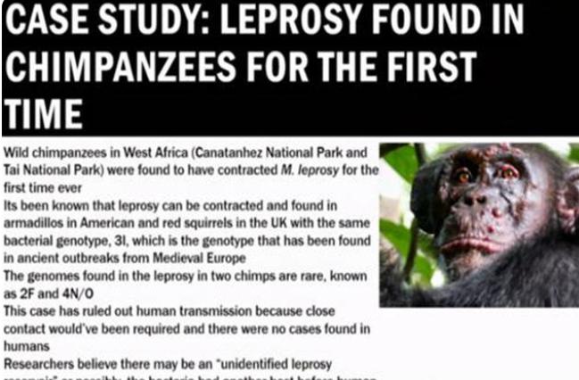 黑猩猩感染上了人类病毒，为啥会变得这么可怕？（黑猩猩实验）