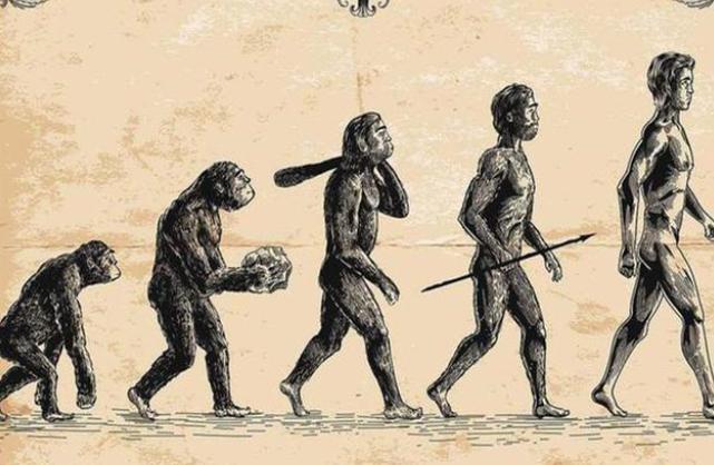 人类是否已经完成最终进化？科学家这样认为（最终进化）