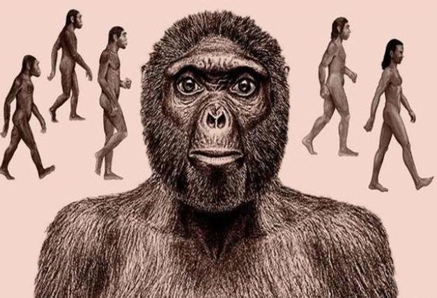 人类祖先离开非洲后，可能和某种神秘动物交配过（人族繁衍）