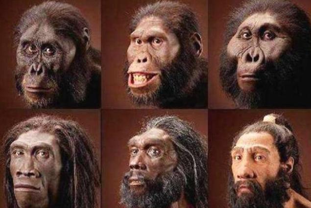 人类祖先离开非洲后，可能和某种神秘动物交配过（人族繁衍）