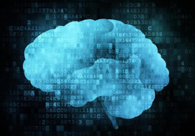 要是人类的大脑被完全开发，那么我们可能会面临什么？
