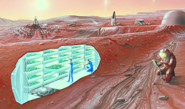 将火星土壤带回地球，暂时可能做不到（火星土壤）