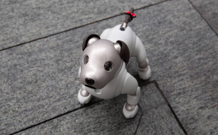 当前出现的机械小狗，会不会成为未来人类的宠物？（机械宠物）