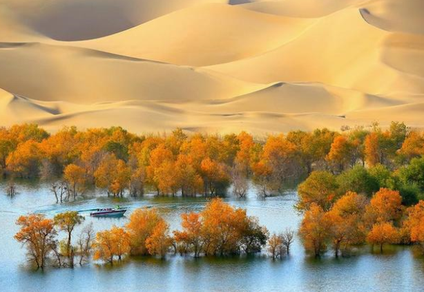 如果把沙漠全部都变成草原，环境会有什么样的影响？（环境影响）