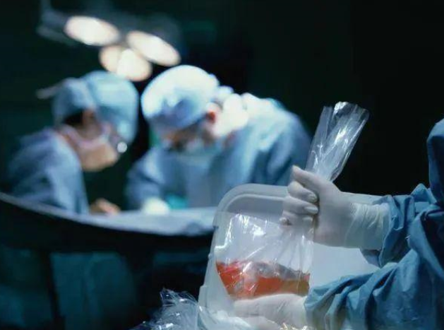 器官移植或许会成为现实，猪的肾脏移植进人的身体（器官移植）