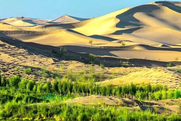 毛乌素沙漠治理现状：八成区域成绿洲(即将消失的沙漠)