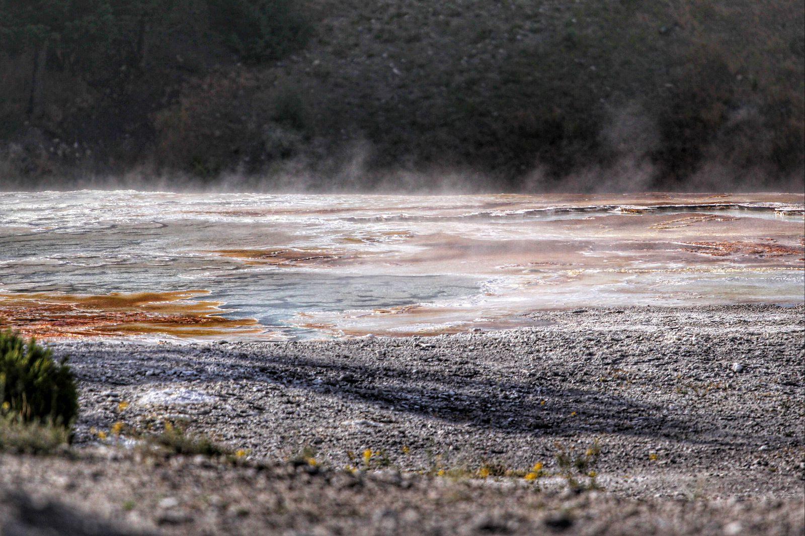 亚马逊雨林中的恐怖河流，水温超过九十度，动物进去就是自杀