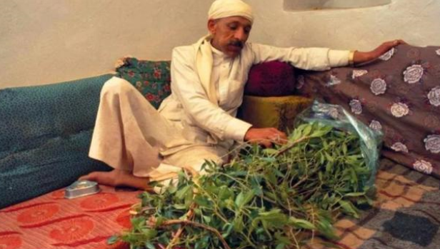 超过90%的也门男人都喜欢嚼树叶儿，这是什么癖好？（食物上瘾）