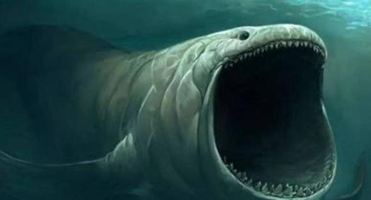 巨物恐惧症是什么？深海巨眼，巨大的动物让人浑身战栗（折磨自己
