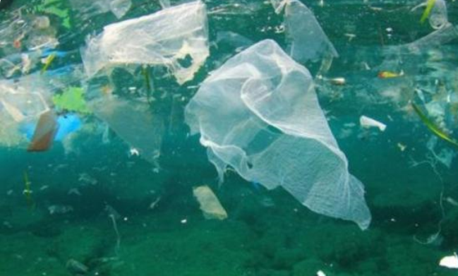 可以吞噬塑料的细菌，难道说地球上的塑料危机有救了？