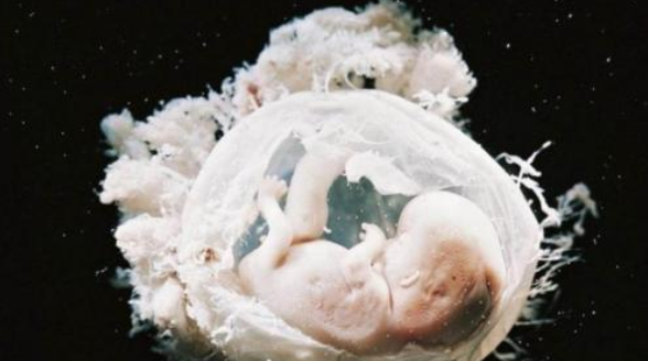 基因婴儿已经过去了几年的时间，为啥还遭到人类反对？