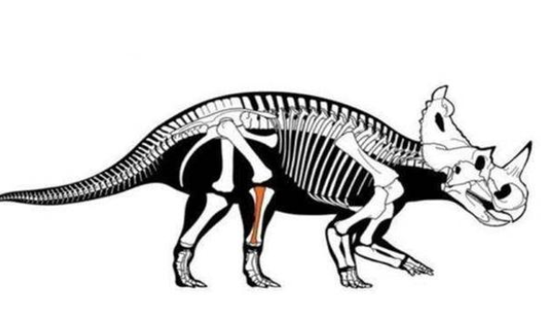 癌症并不只是折磨人类，在几千万年之前已经开始折磨恐龙