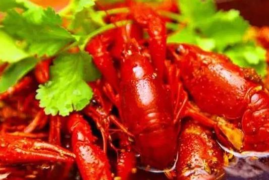 日本立法禁售小龙虾！为什么小龙虾源自日本，中国吃日本不吃？