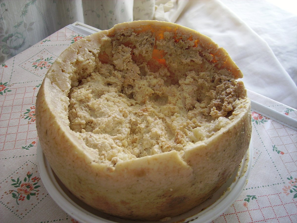 意大利的活蛆奶酪，却成为了当地的特色美食（最危险的奶酪）