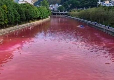 一条河一夜变红，没有异味也没有化学超标，这是大自然的暗红？