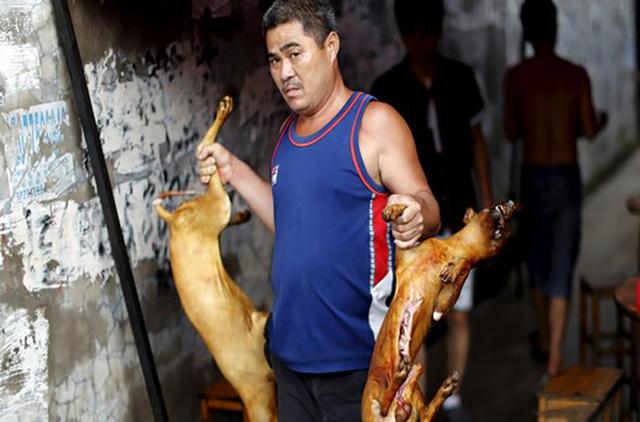 一年吃上百万只狗，韩国政府也没有办法（韩国吃狗肉传统）
