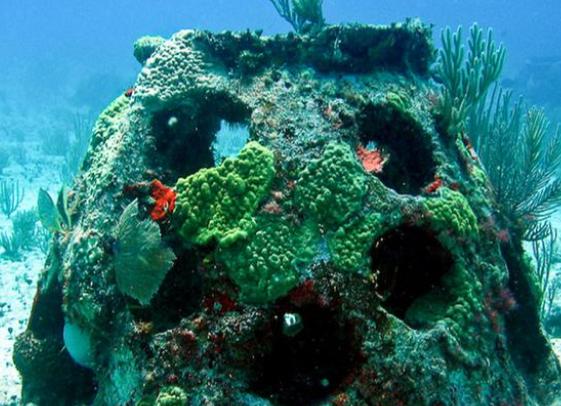 将骨灰制成珊瑚，近75万个骨灰球沉入海底，这种做法会改变生态