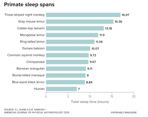 为何灵长动物中人类的睡眠时间是最短的？ （据国外媒体报道）