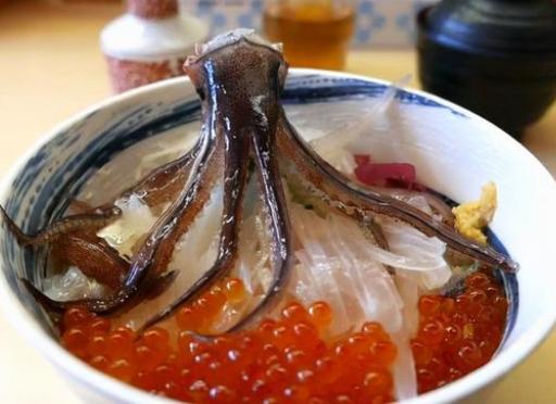 鱿鱼活切摆盘做刺身，日本被“砍头”的鱿鱼怎么还能跳舞？