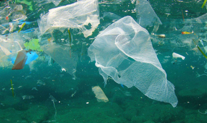 现在塑料都已经进入到了人的身体里 对于人类有什么危害？