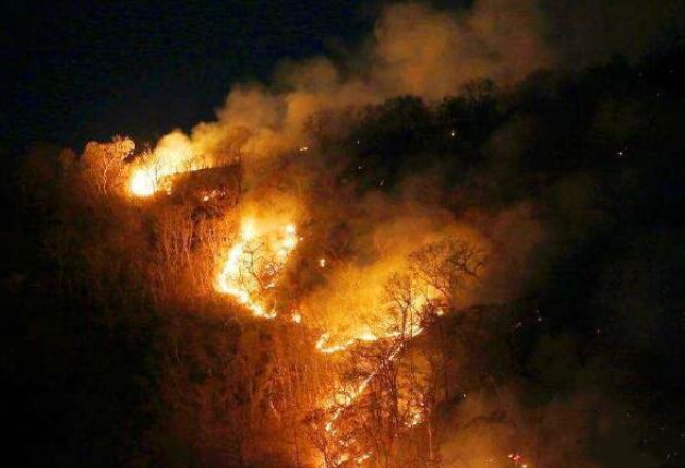 三年前的亚马逊雨林大火 会不会改变整个地球的生态？