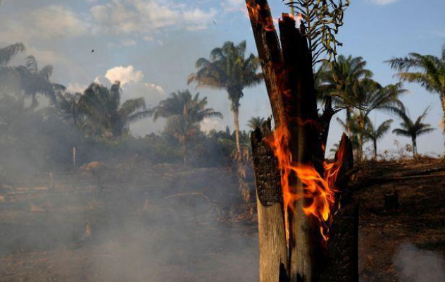 三年前的亚马逊雨林大火 会不会改变整个地球的生态？