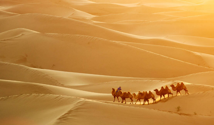 沙漠中的沙子那么多 为什么全球还会沙子短缺？（沙子短缺）