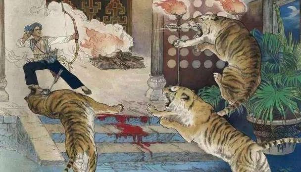 武松随便一走就能遇到老虎，为啥现在却看不到（人为捕猎）