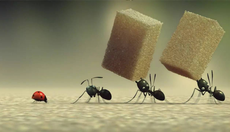 地球上进化最完美的生物 居然是毫不起眼的蚂蚁（地球统治者）