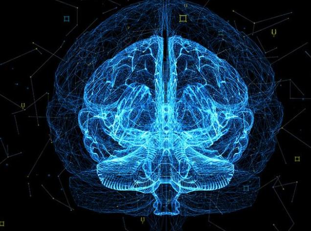 穿越开关潜藏在大脑中，科学家称CNO能刺激Q神经
