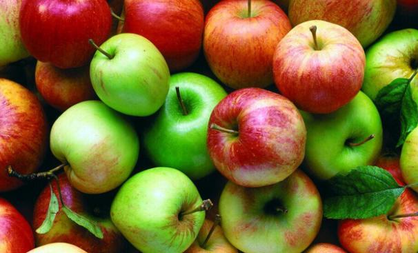苹果籽中富含的氰化物可致人死亡？吃了30年苹果 头次听说籽有毒