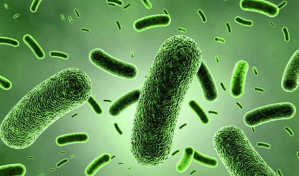 科学家往身体里注射万年前的细菌 是否可以完成永生？