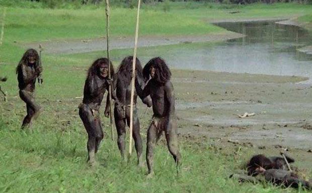 亚马逊食人族确实存在吗? 为什么要吃人肉 （生存环境导致食人）