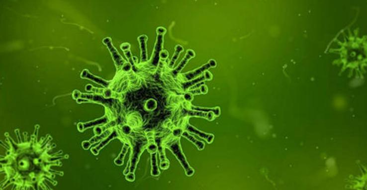 历史上人类12种最致命的病毒，冠状病毒就是其中之一！