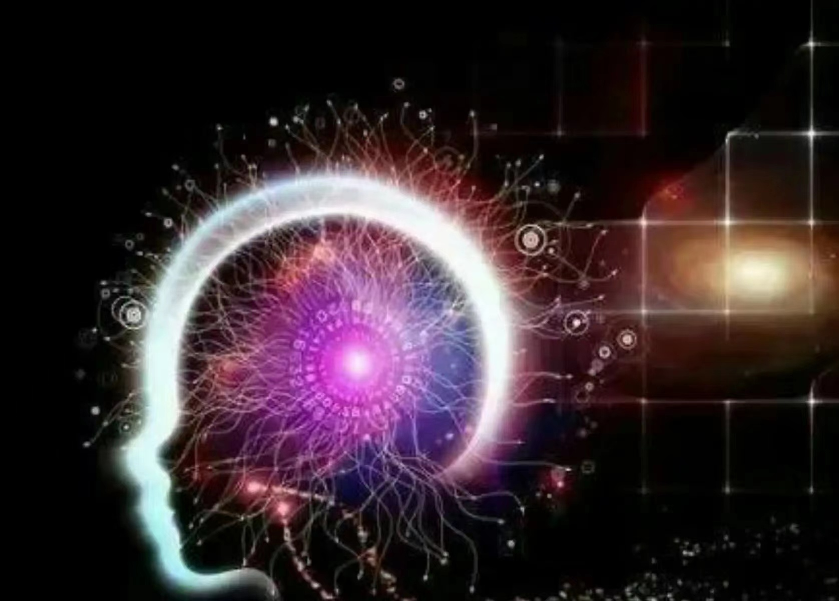 科学家发现 宇宙和人脑的图谱离奇相似 宇宙和人脑都有共同之处