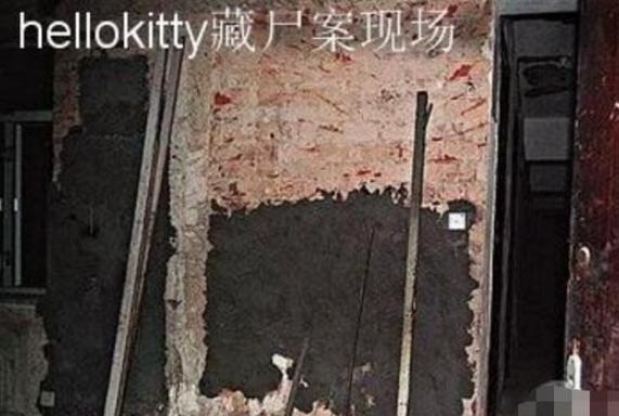 香港hellokitty藏尸案 女子被肢解烹饪后塞进洋娃娃身体内