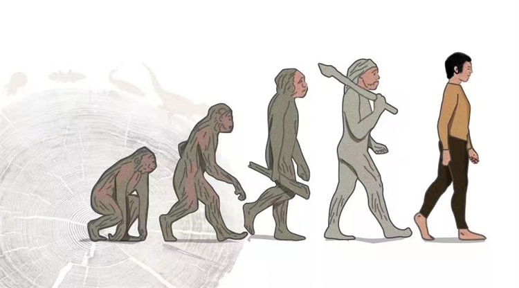 未来人类是进化还是退化 科学家 化石已经给了我们答案！