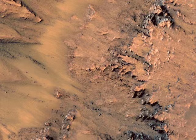 NASA拍到火星上有树木及森林 科学家 照片是真的 却很奇怪