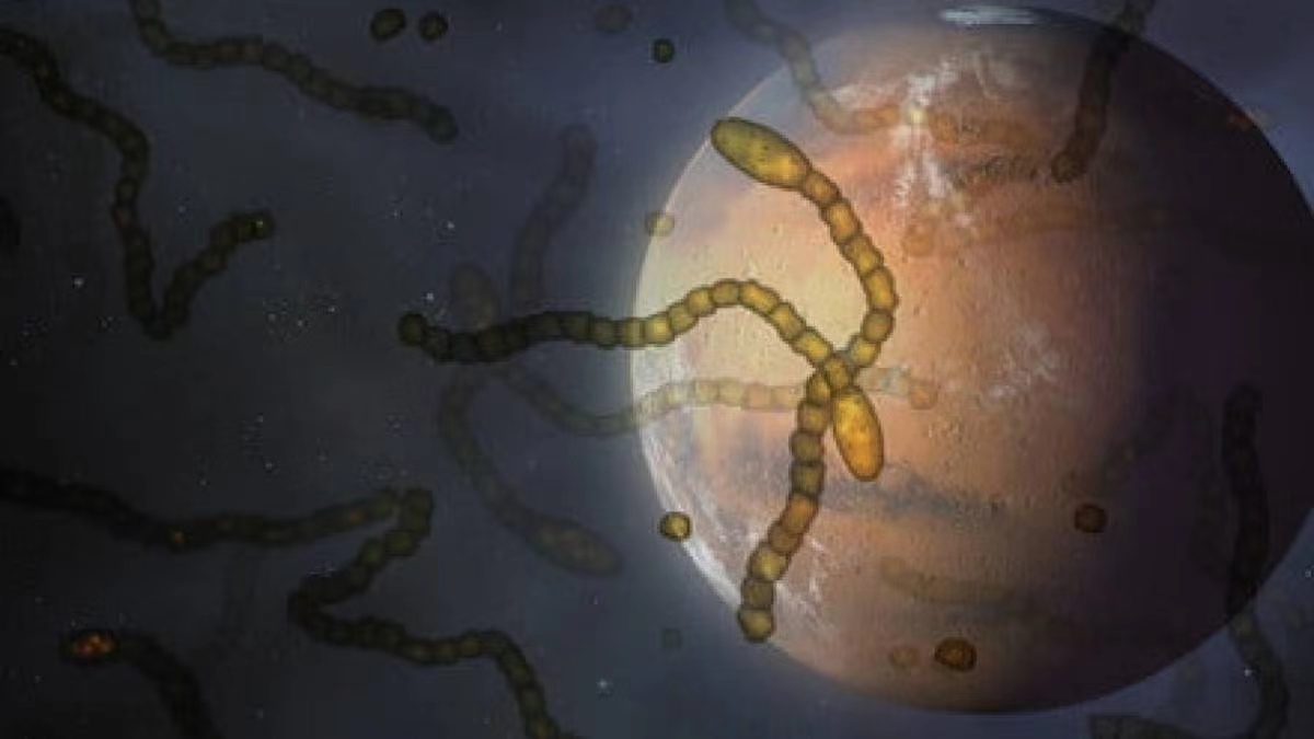 地球细菌微生物去火星 能否带来生机？（火星生命）