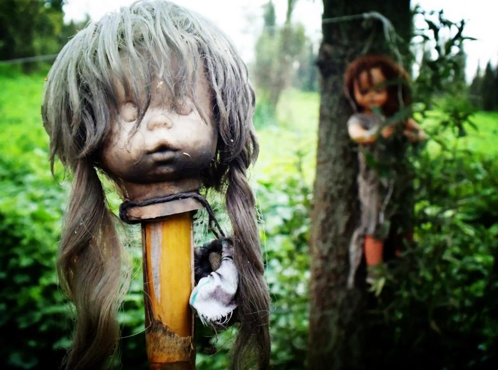 墨西哥娃娃小岛，成千鬼娃娃被肢解挂在树上 （毛骨悚然）