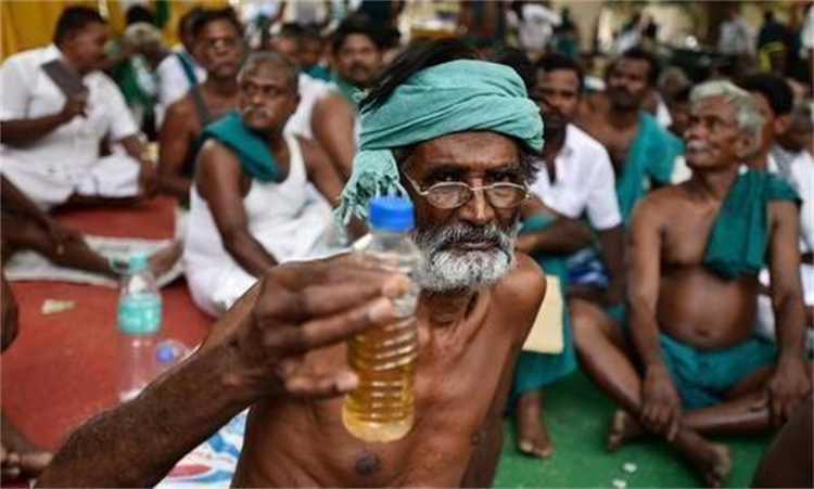 印度农民聚众喝尿 背后缘由令不少人震惊（事件的影响力）