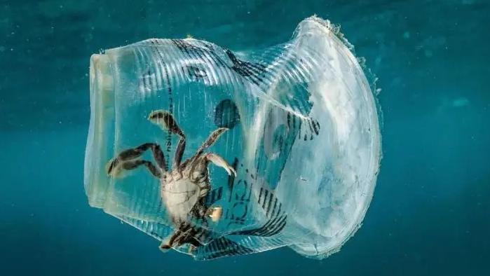 全球每年1300万吨塑料流入大海，防止刻不容缓