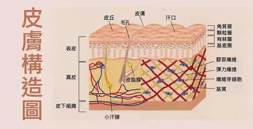 美国一男子用皮肤吸物品，皮肤毛孔像吸盘（皮肤能吸物品）