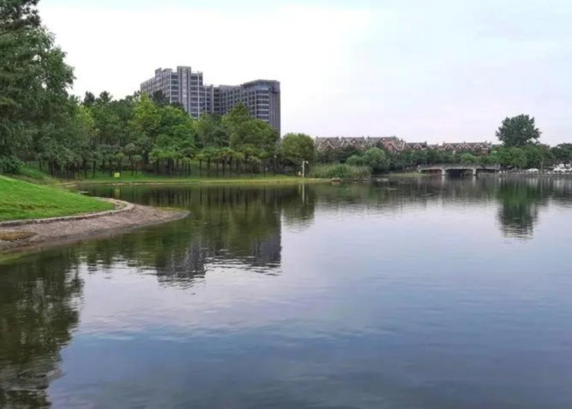 上海美兰湖多人跳湖自杀，原因竟是青蛇附身勾魂？