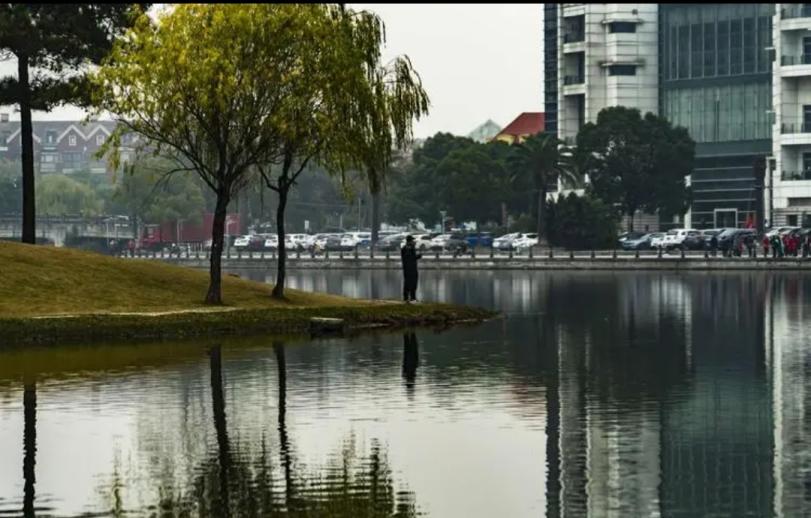 上海美兰湖多人跳湖自杀，原因竟是青蛇附身勾魂？