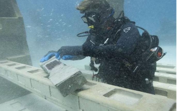 美国海王星纪念礁，为何被称为海底墓园（揭秘美国海底墓园）