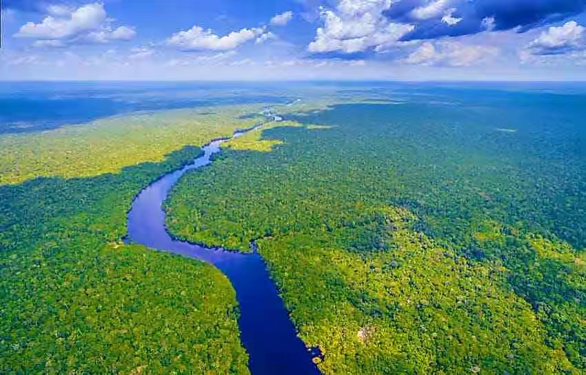 亚马逊“飞行之河”或将不复存在，专家已有这方面的论断