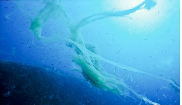 近年海洋出现具有致命危险的神秘黏液到底是什么（自然现象揭秘）