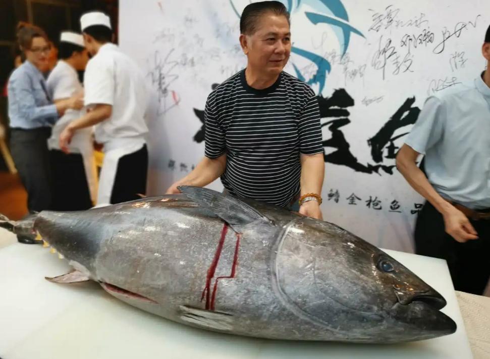 世界上最贵的鱼，竞拍价格高达1240万元人民币（一公斤好几万）