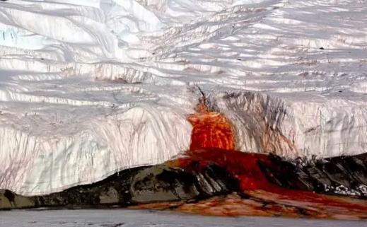 神奇的南极“血瀑布＂，舔起来有鲜血的味道
